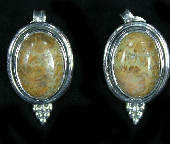 Beautiful Fossil Coral Sunburst Earrings - Sterling Silver #26595